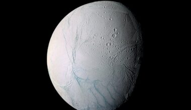 Stopień dojrzałości banana ma znaczenie. Sprawdź, jaki wybrać dla siebie!