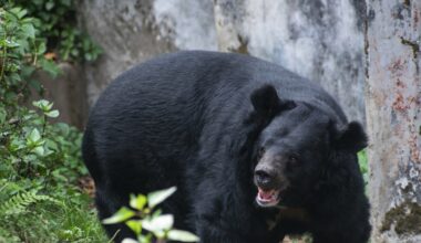 Przejdź na stronę główną INTERIA.PL