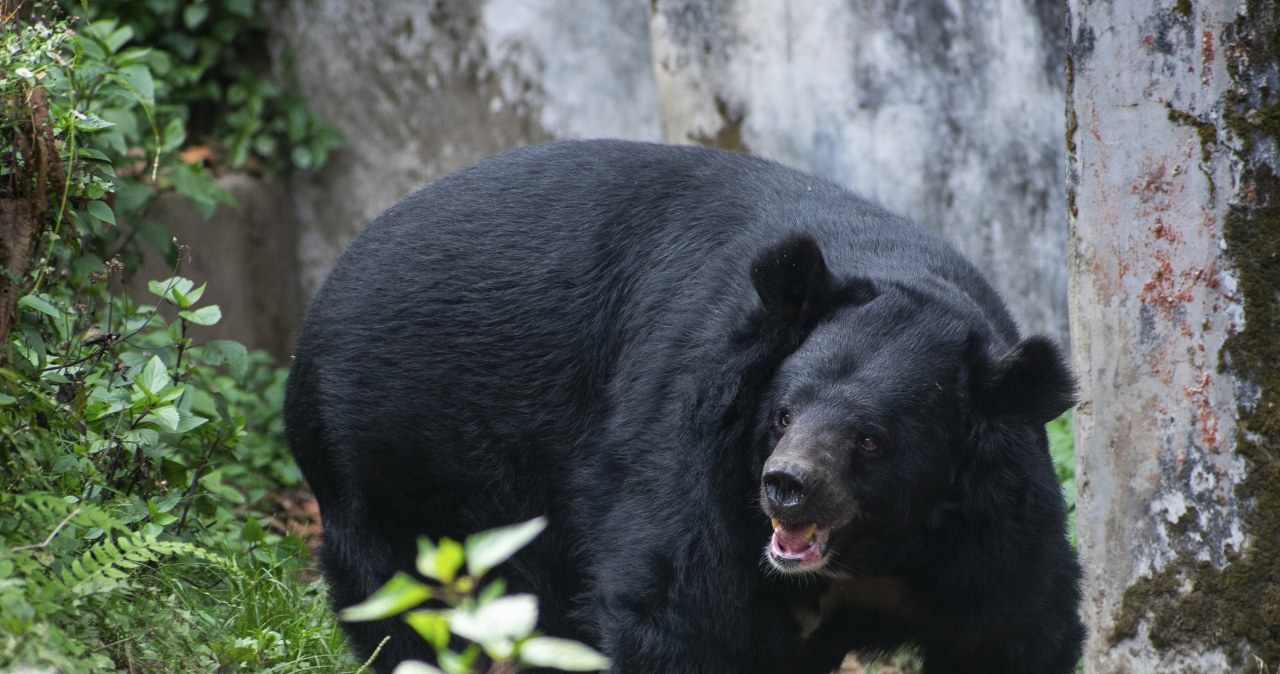 Przejdź na stronę główną INTERIA.PL
