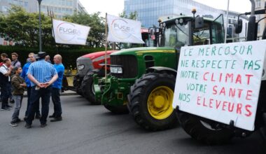 ​Polski eurodeputowany chce powstrzymać umowę z Mercosur. "Szanse wynoszą pół na pół"