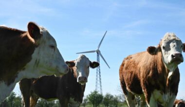 Przejdź na stronę główną INTERIA.PL