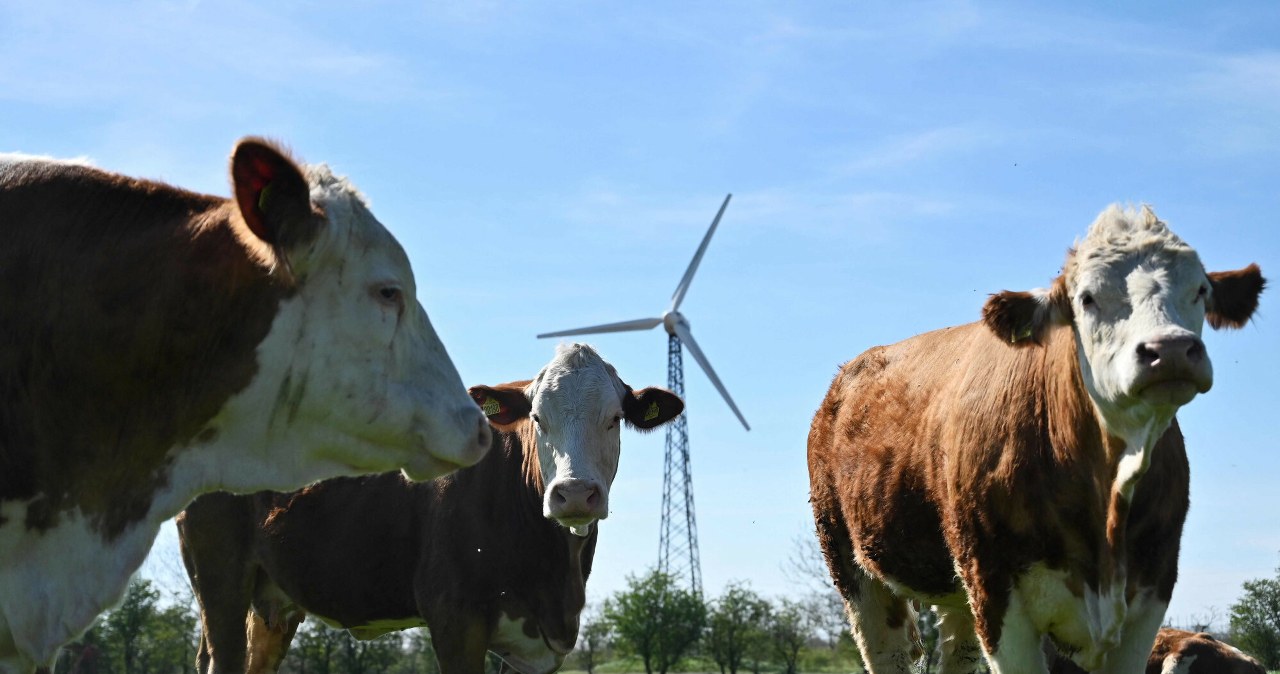 Przejdź na stronę główną INTERIA.PL