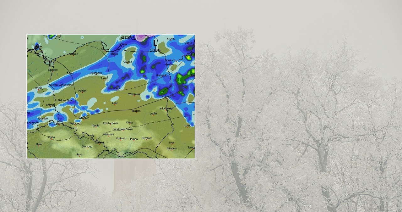 Przejdź na stronę główną INTERIA.PL