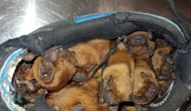 Przejdź na stronę główną INTERIA.PL