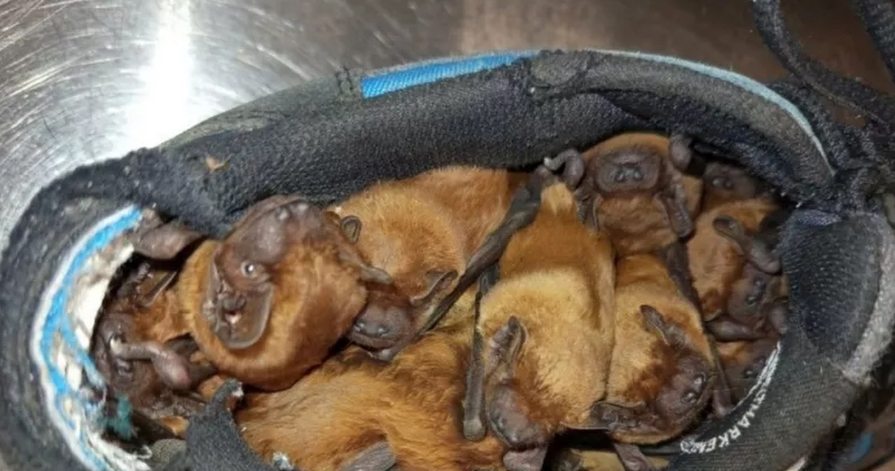 Przejdź na stronę główną INTERIA.PL