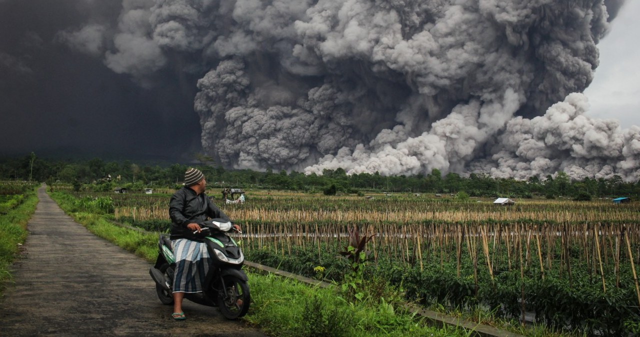 Przejdź na stronę główną INTERIA.PL