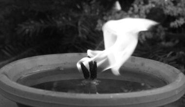 Przejdź na stronę główną INTERIA.PL