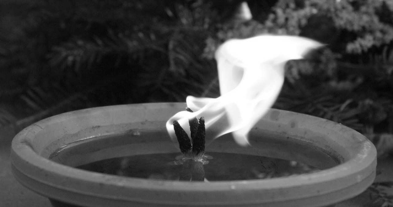 Przejdź na stronę główną INTERIA.PL