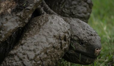 Przejdź na stronę główną INTERIA.PL
