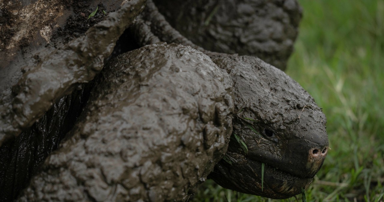Przejdź na stronę główną INTERIA.PL