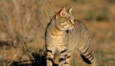 Przejdź na stronę główną INTERIA.PL