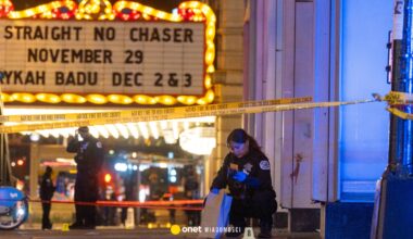 Tragiczny finał świątecznych uroczystości w Chicago. Jest wielu rannych