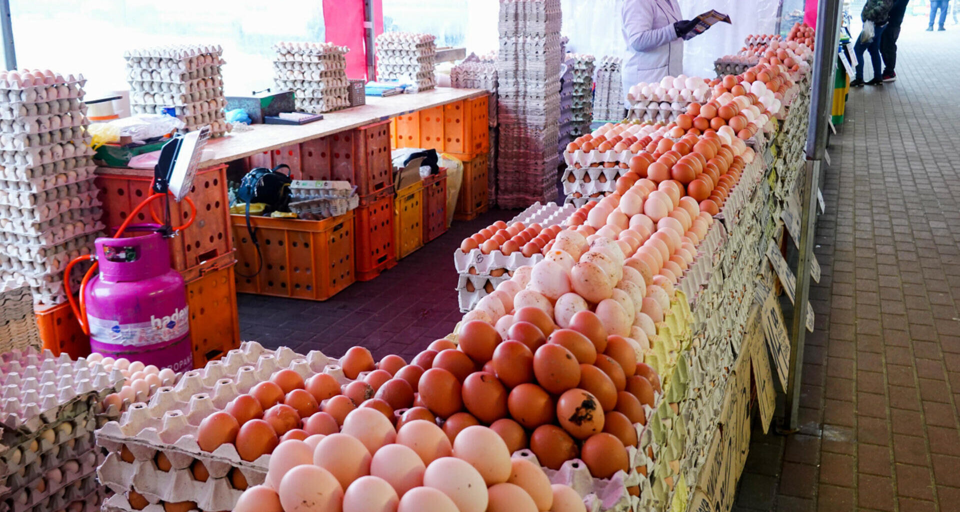 12 procent w miesiąc. Co się dzieje z cenami jajek? Najgorsze dopiero przed nami