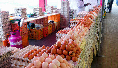 12 procent w miesiąc. Co się dzieje z cenami jajek? Najgorsze dopiero przed nami