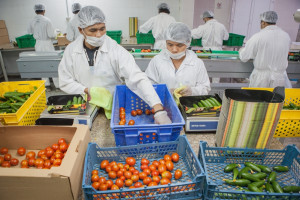 W Polsce pracuje już ponad milion cudzoziemców