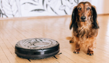 Użytkownik wyłączył wysyłanie danych do producenta, więc producent zdalnie zablokował mu odkurzacz