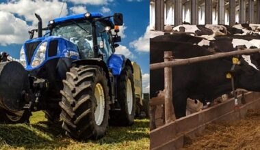 Inwestycje w gospodarstwach rolnych zwiększające konkurencyjność - start naboru 20 listopada - Agencja Restrukturyzacji i Modernizacji Rolnictwa