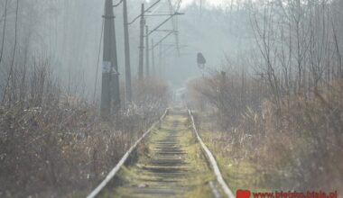 Niebawem na nieczynną linię wjedzie specjalistyczny sprzęt. Tajemnicza zapowiedź przyspieszenia prac