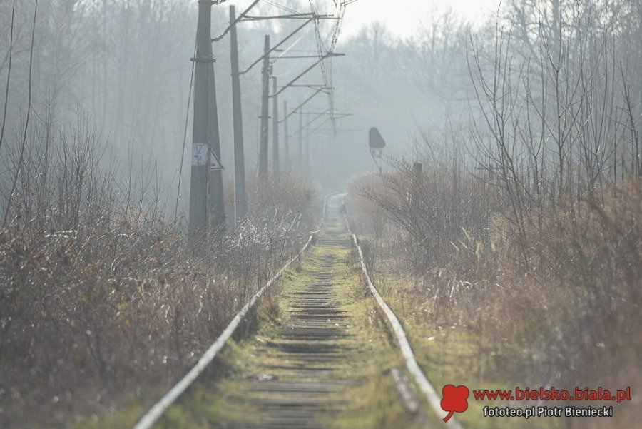 Niebawem na nieczynną linię wjedzie specjalistyczny sprzęt. Tajemnicza zapowiedź przyspieszenia prac