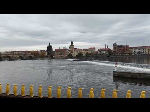 YouTube Preview Image