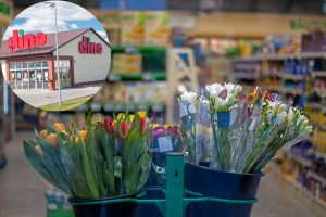 Wszystko jasne. Dino zdradza, co naprawdę dzieje się z owocami, warzywami i kwiatami w sklepach