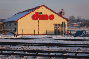 Nawet 5 sztuk za darmo w Dino. Start - 26 listopada o 6:00