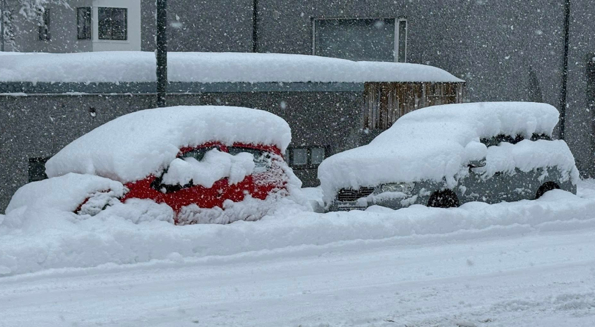 Historyczny atak zimy. Meteorolodzy: 40 cm śniegu w dwa dni - Świat