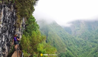 31-letni Polak zaginął na Maderze. Rodzina apeluje o pomoc - Onet