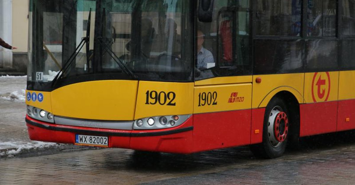Groźna sytuacja w autobusie. Pies zaatakował kobietę z dzieckiem - Onet