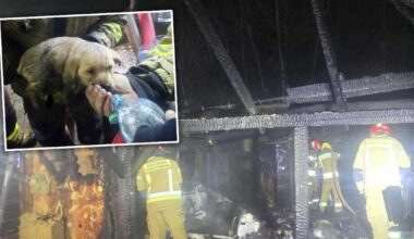 Uratowali z pożaru przerażonego szczeniaka. Teraz chcą pomóc pogorzelcom