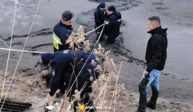 Akcja policji na Podkarpaciu. Zaginiona 73-latka znaleziona w stawie. Wciąż żyła - Onet Wiadomości