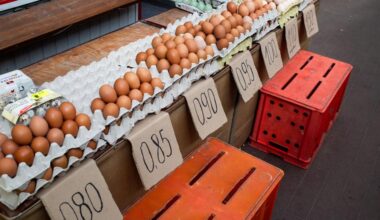 Ceny jajek poszły w górę o 60 proc. To jednak nie koniec podwyżek
