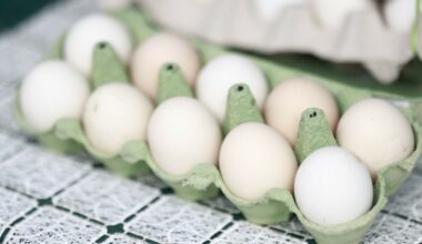 Kryzys na rynku jaj. Ceny mogą pójść w górę