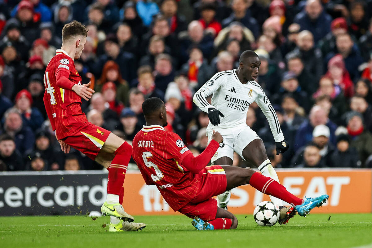 Zdjęcie użytkownika