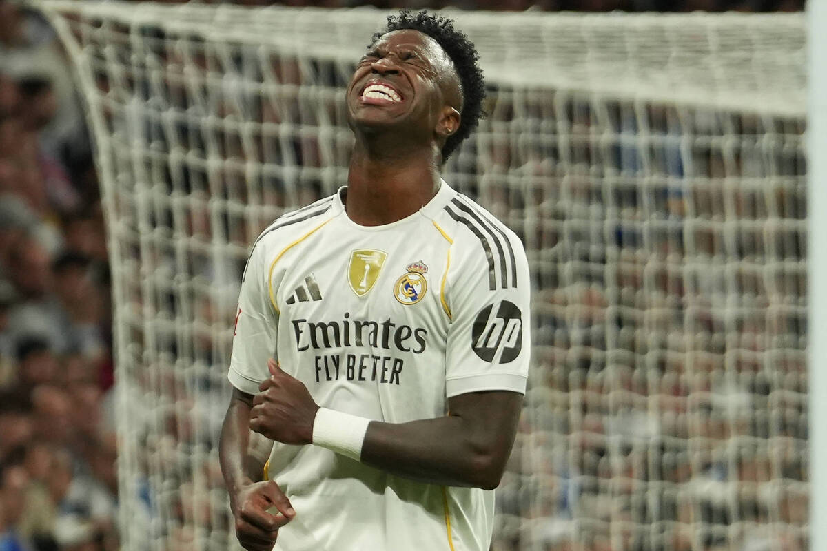 Zdjęcie użytkownika