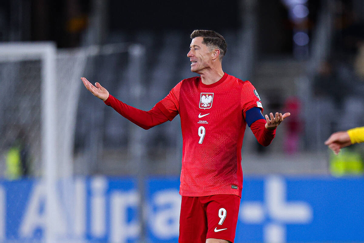 Zdjęcie użytkownika