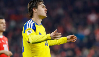 Zdjęcie użytkownika