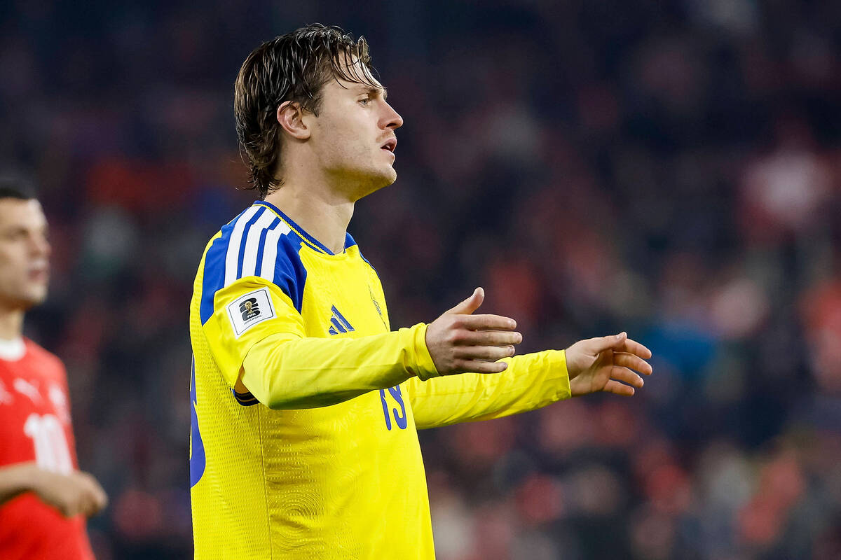 Zdjęcie użytkownika