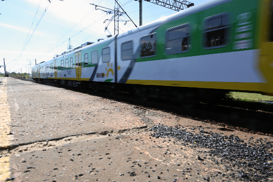 Fot. Robert Kowalewski / Agencja Wyborcza.pl