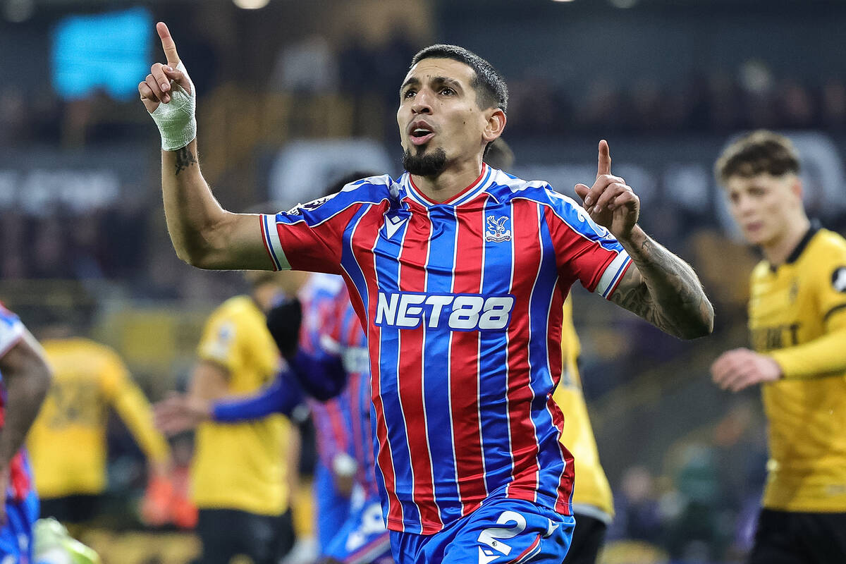 Zdjęcie użytkownika