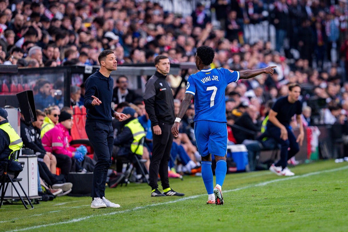 Zdjęcie użytkownika