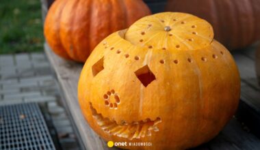 Dzieci obrzuciły dom kamieniami w trakcie Halloween. "Gdzie jest granica"