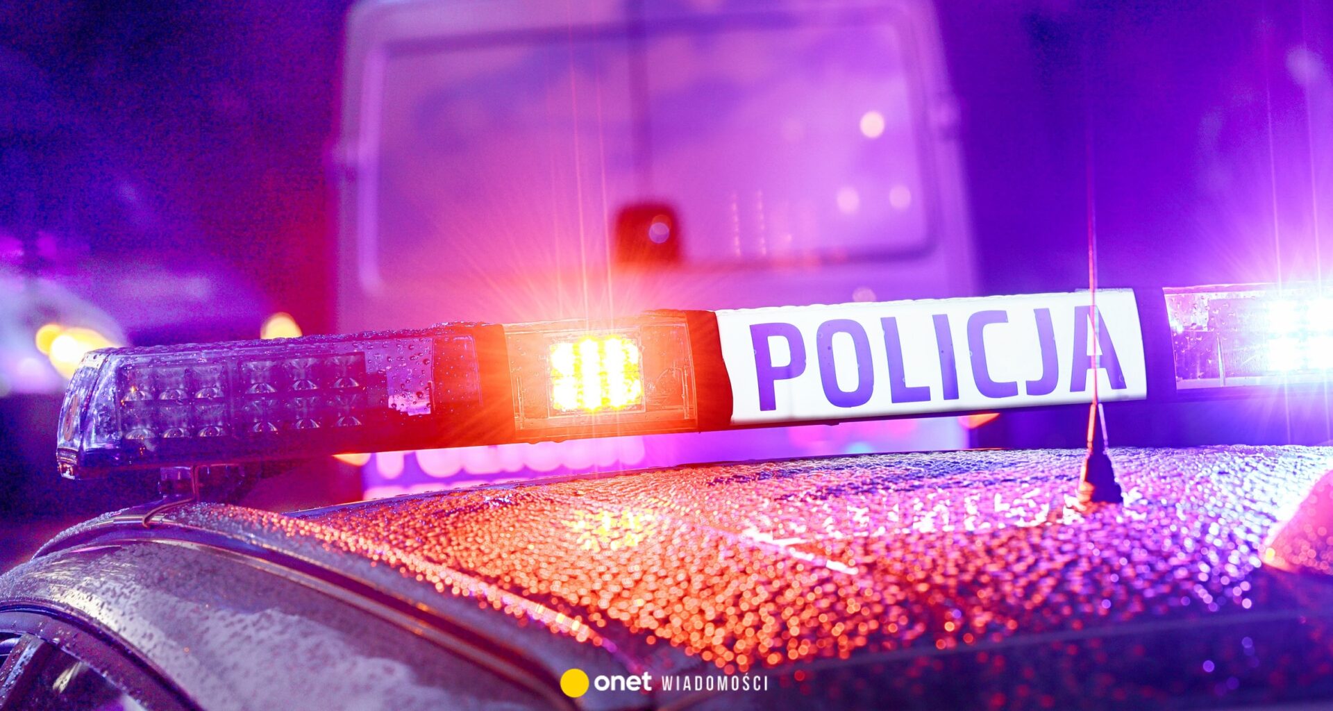 Atak na policjantkę koło Poznania. Padły strzały, nie żyje 39-latek - Onet Wiadomości