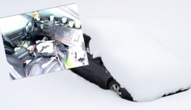 44-letni Szwed Peter Skyllberg przeżył dwa miesiące w aucie zasypanym śniegiem (screen: www.tiktok.com/@detective.tiger)