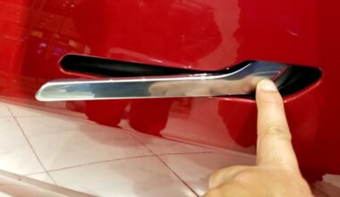 Tesla pozwana za śmierć pasażerów. Rodzina mówi o wadzie drzwi