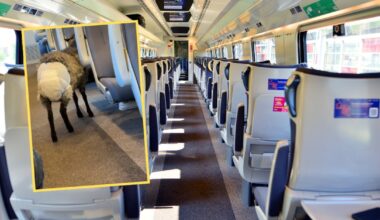 Nagranie posła PiS z Pendolino ma 57 tys. wyświetleń. "Ludzie przeginają"