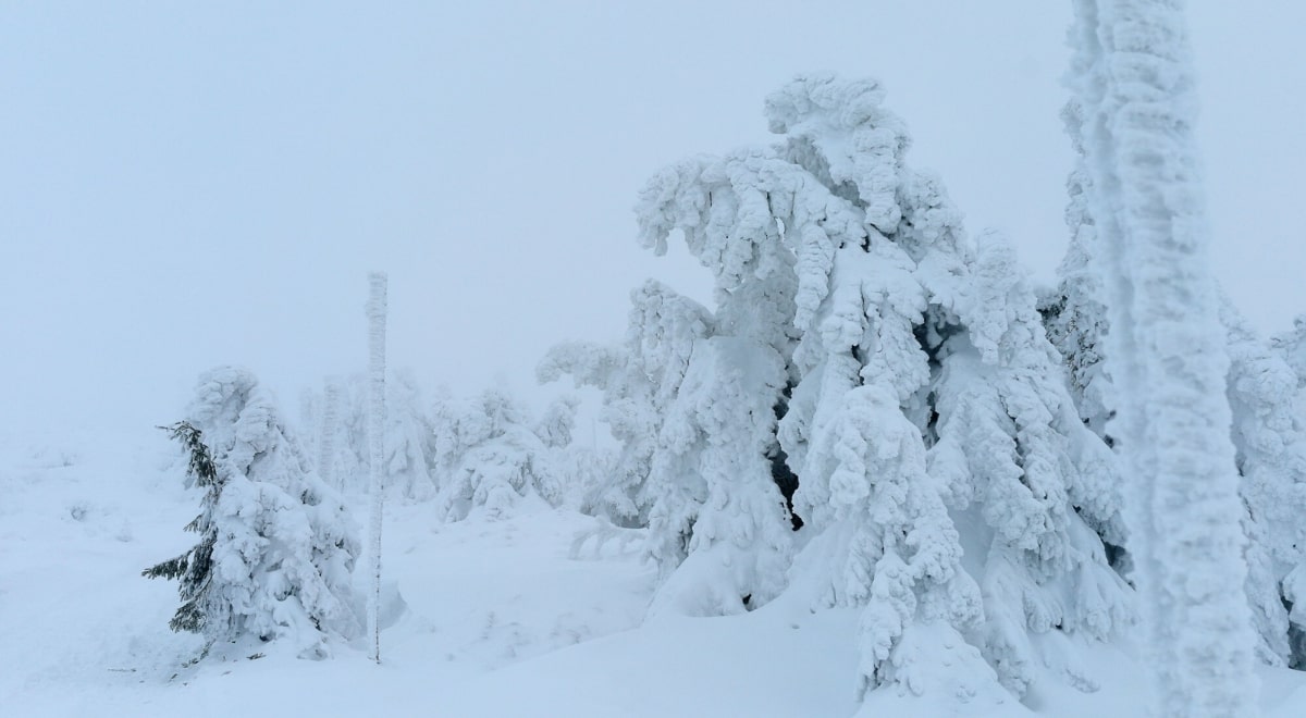 Taka zima w Polsce zdarza się raz na dekady. Meteorolodzy już ostrzegają - Polska