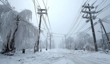 Śnieżyce paraliżują linie energetyczne