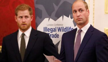 Ksiażę William pozbawi brata królewskich tytułów? "Nie zdziwiłbym się"