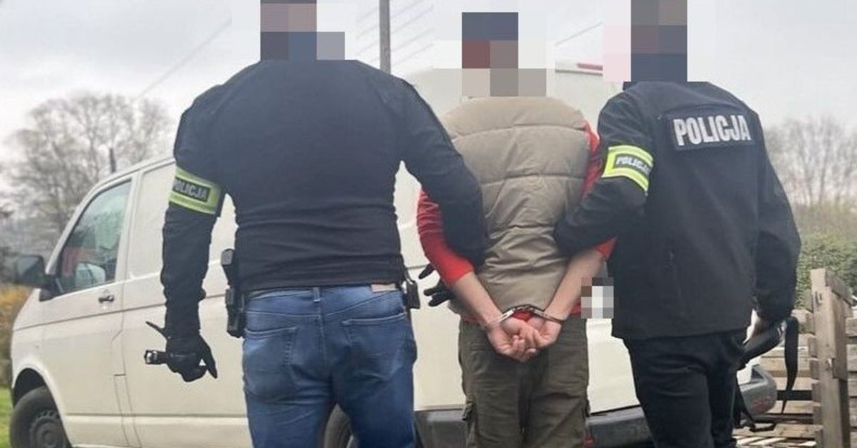 Usiłował wciągnąć nastolatkę do busa. 30-latek został zatrzymany - Onet